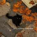 Lucky October Subliminal