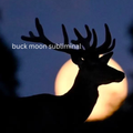 Buck Moon Subliminal