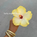 Lucky August Ritual