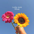Lucky June Ritual